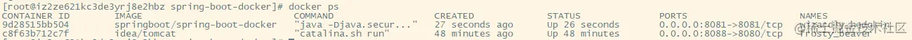 docker-4