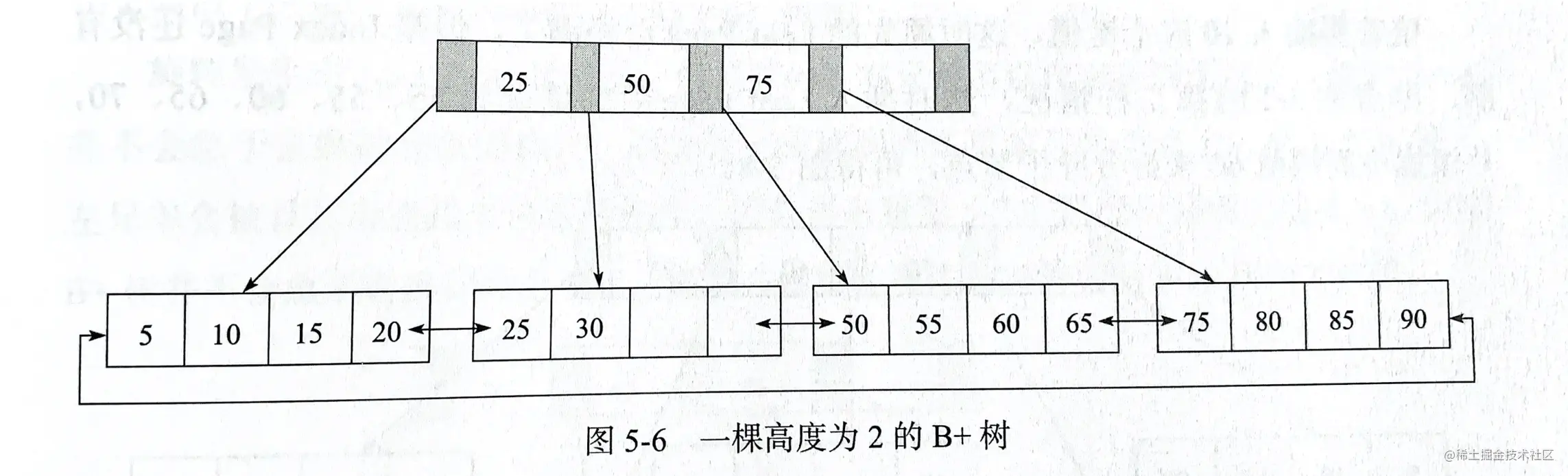 B+Tree-UgFQjS