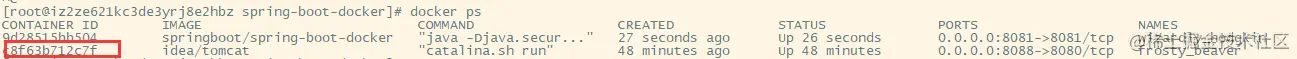 docker-11
