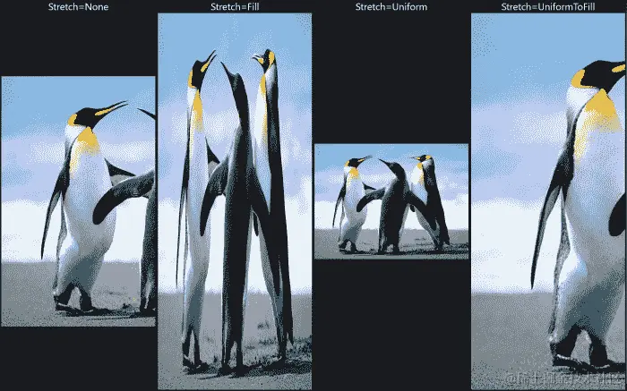 Stretch 属性