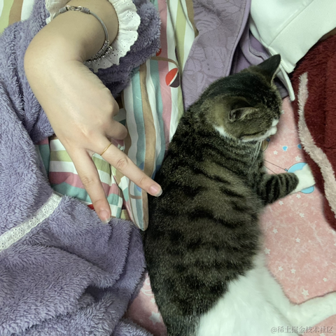 钮钴禄仙贝于2022-12-02 20:45发布的图片