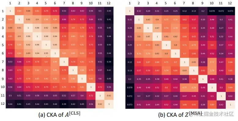 CKA analysis of A^[CLS] and Z^MSA across different layers of pretrained ViT-T/16.
