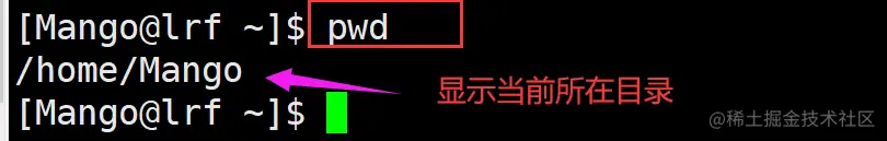 image-20220224204623244