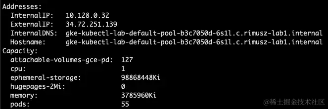 图 3.3 – 节点描述 – 分配的内部和外部 IP