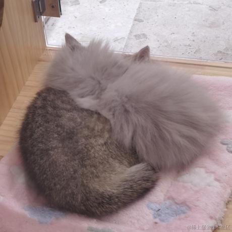 Gamer向晚于2022-12-11 10:53发布的图片