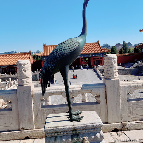 哭着来笑着走天涯于2023-03-19 06:35发布的图片