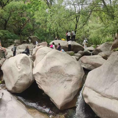 狗狗队疯驴子于2023-05-22 10:46发布的图片