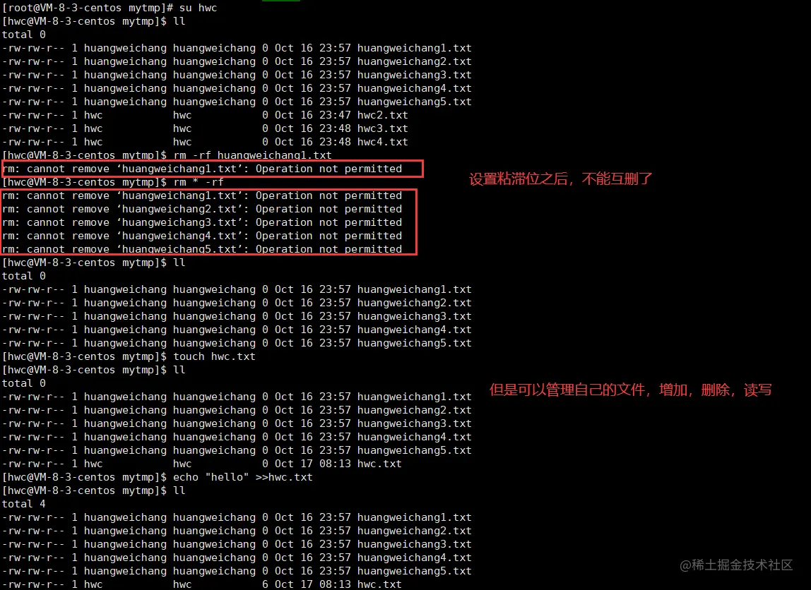 image-20221017081846176