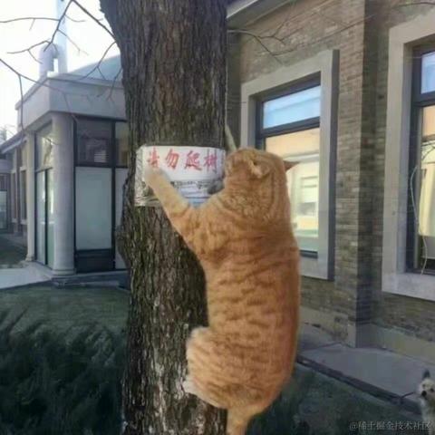 奔跑的毛球于2022-08-05 12:28发布的图片