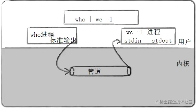 image-20220312224154928