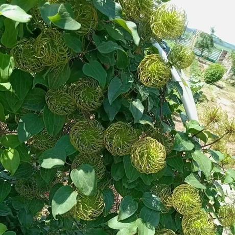 忙碌的挖矿人于2023-09-01 15:10发布的图片