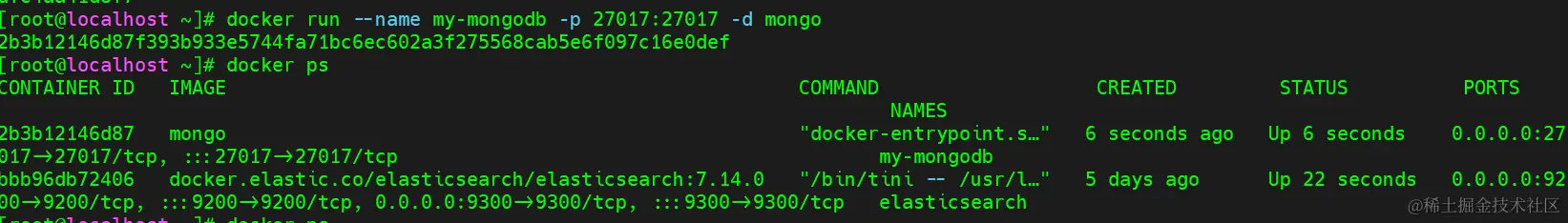 image-20230821204942397