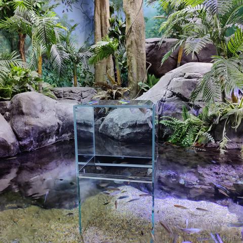 吃鱼徐于2023-05-24 10:37发布的图片