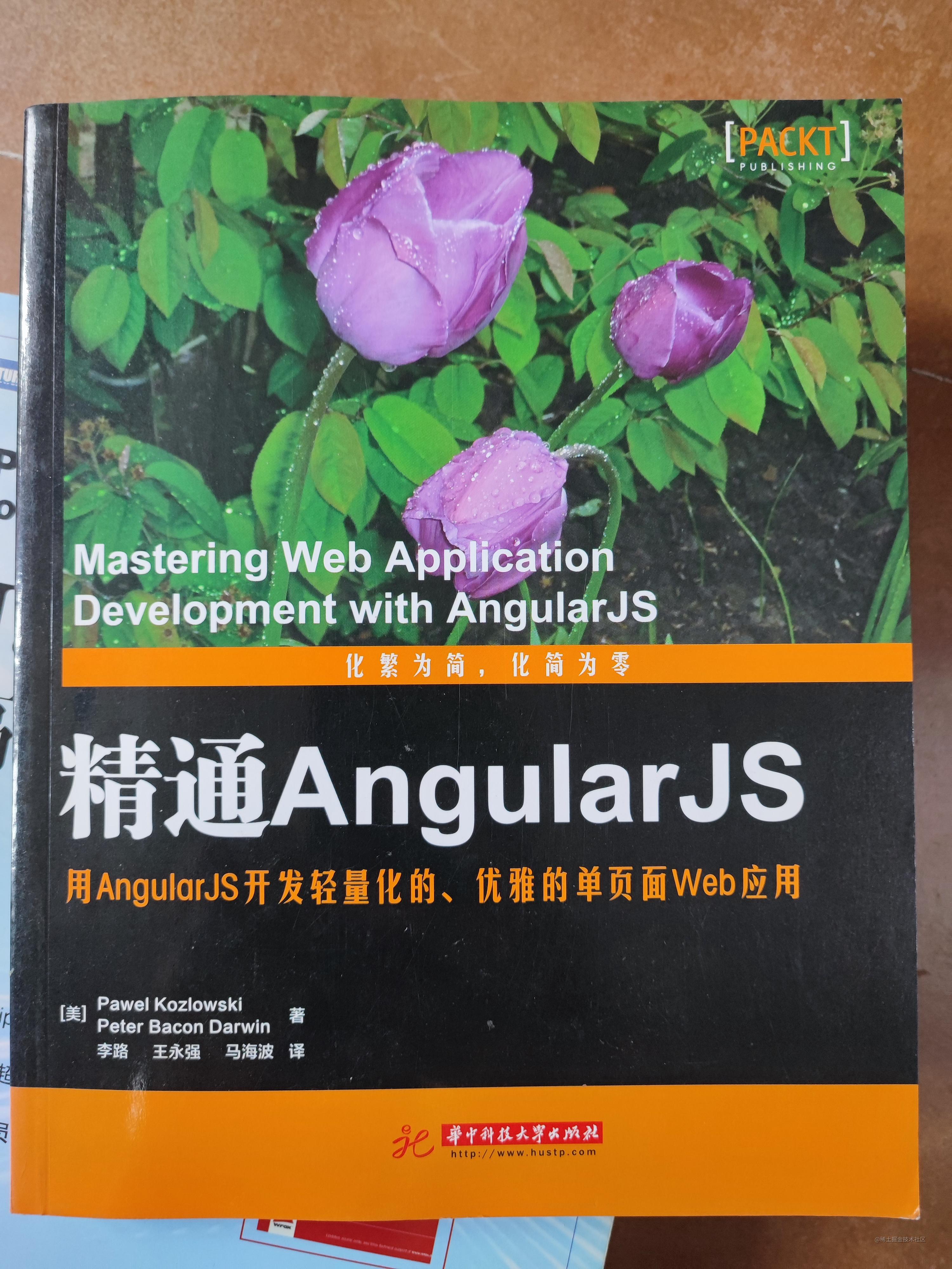 2014-angular.jpg