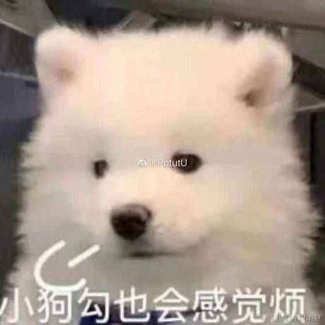 找不到我找不到我于2022-06-07 17:28发布的图片