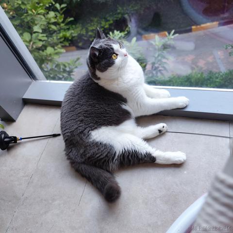 未季言于2022-10-01 17:39发布的图片