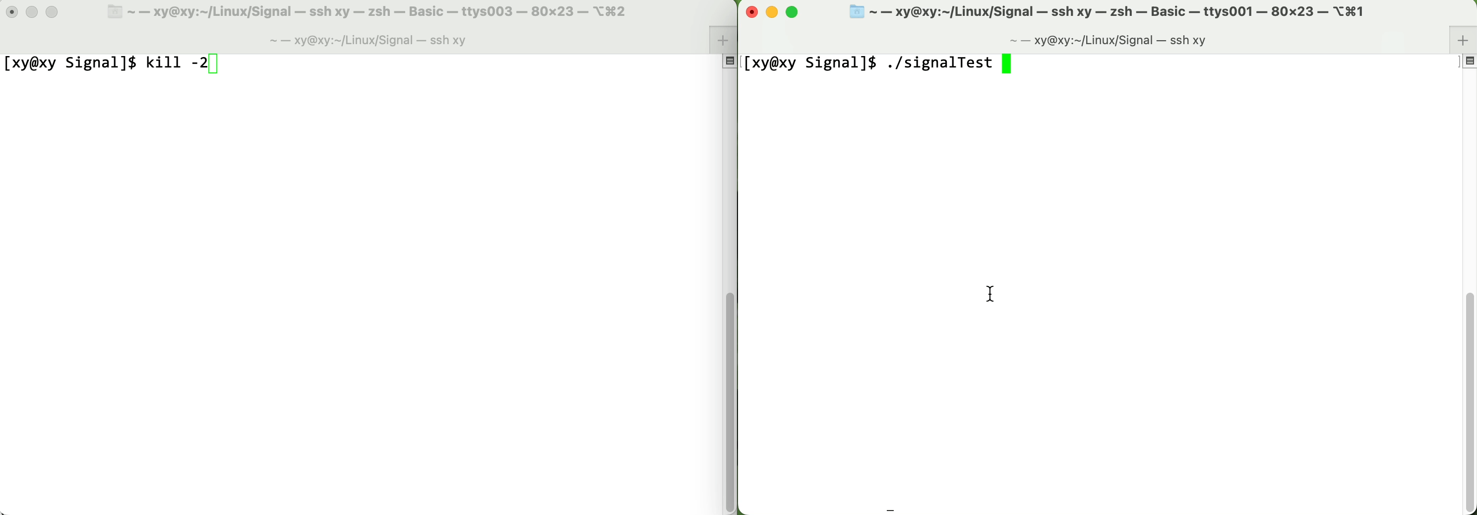 屏幕录制2023-04-01 00.00.48
