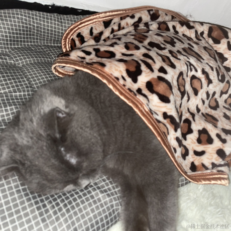 DD_于2023-05-25 09:05发布的图片