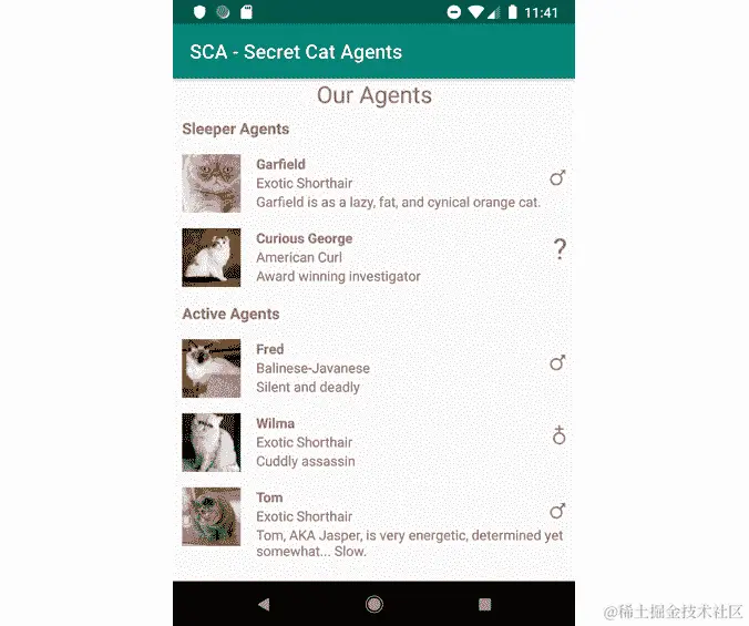图 6.12：带有休眠代理/活动代理标题视图的 RecyclerView