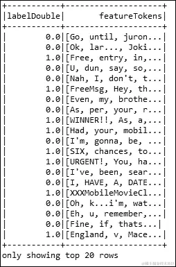 使用数据集进行预处理