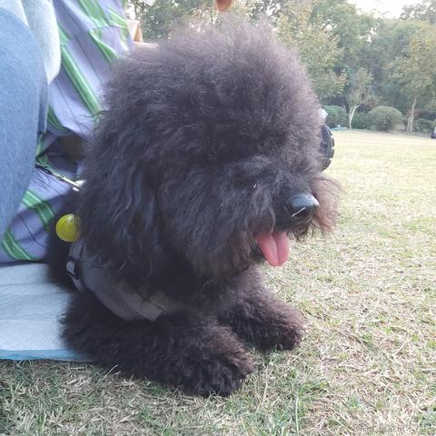 璇天凤舞于2023-05-17 01:12发布的图片