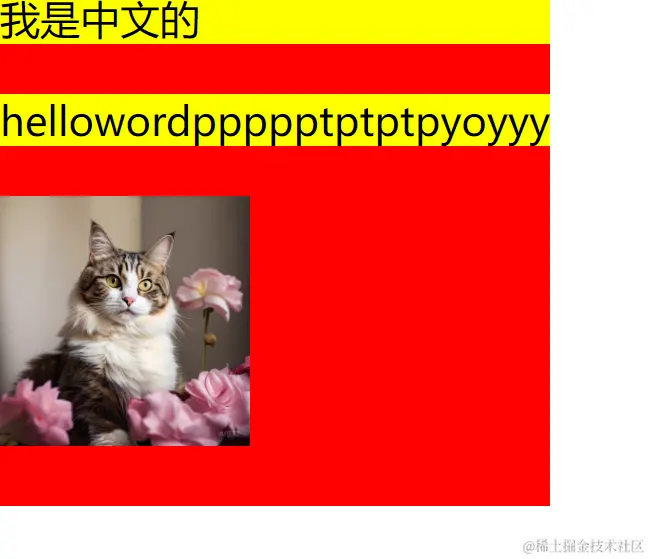 image-20240526202818682