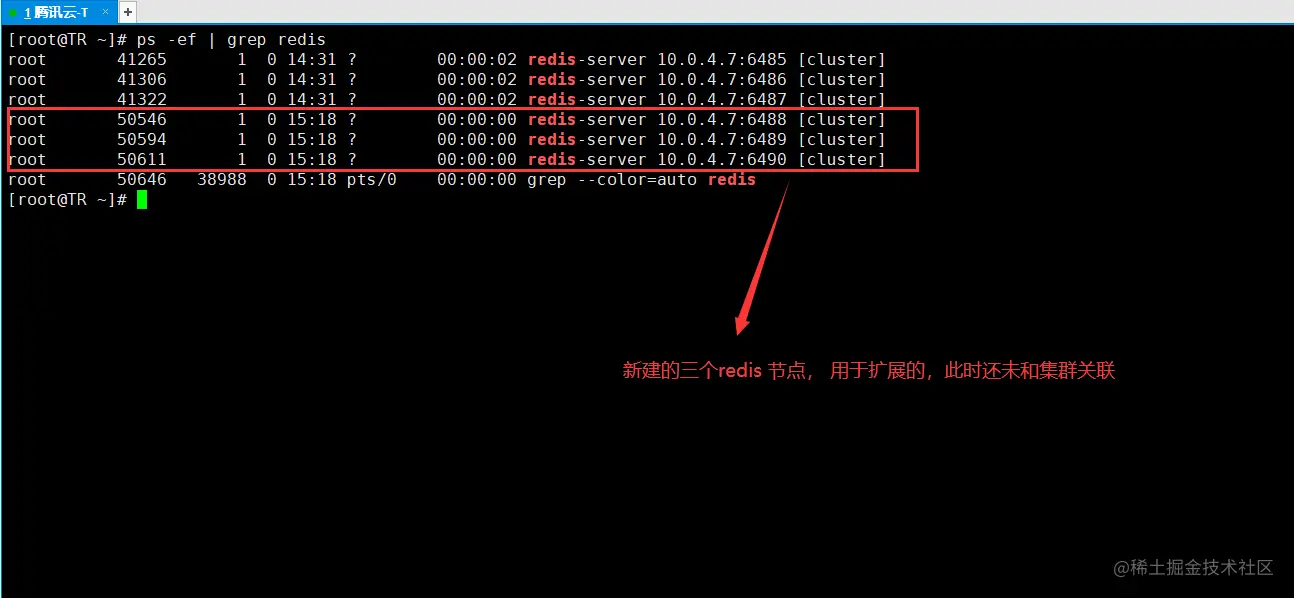 Redis集群的水平扩展