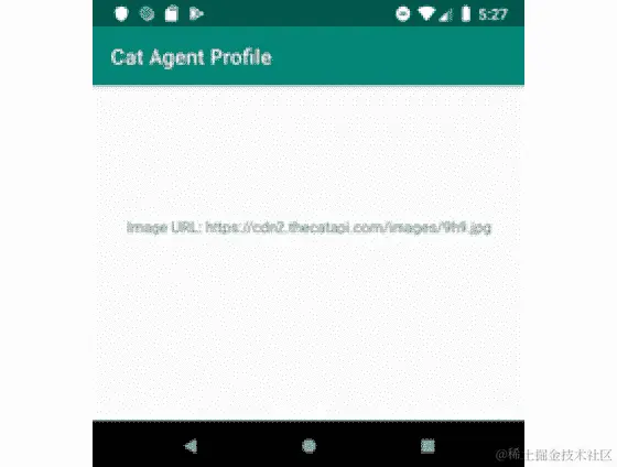 图 5.3：应用程序呈现解析后的图像 URL