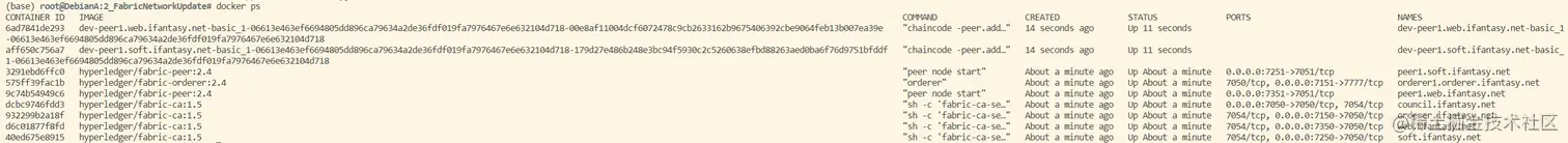 初始 docker 网络