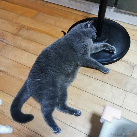 CatWatermelon于2022-08-29 15:11发布的图片