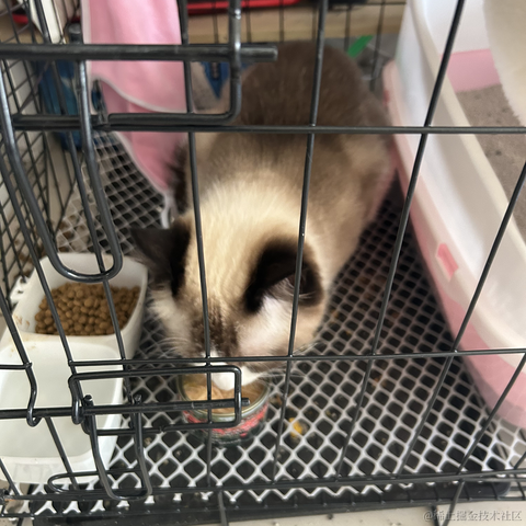 慢慢爬的蜗牛于2023-05-17 20:18发布的图片