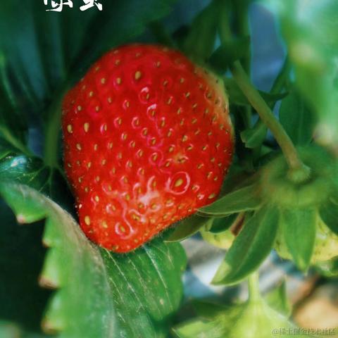 红毛丹于2022-03-07 10:18发布的图片