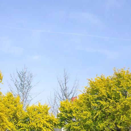 范静宇于2022-11-21 08:14发布的图片