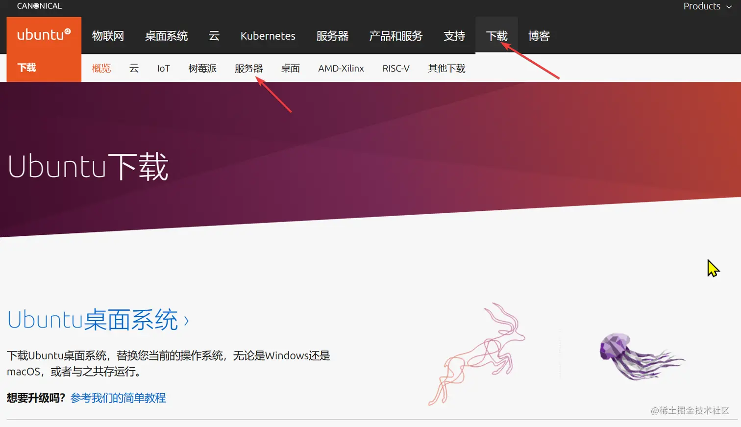 在这里插入图片描述