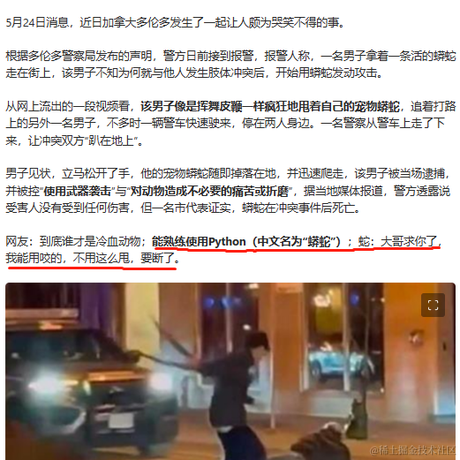 土豆Lee于2023-05-25 15:05发布的图片