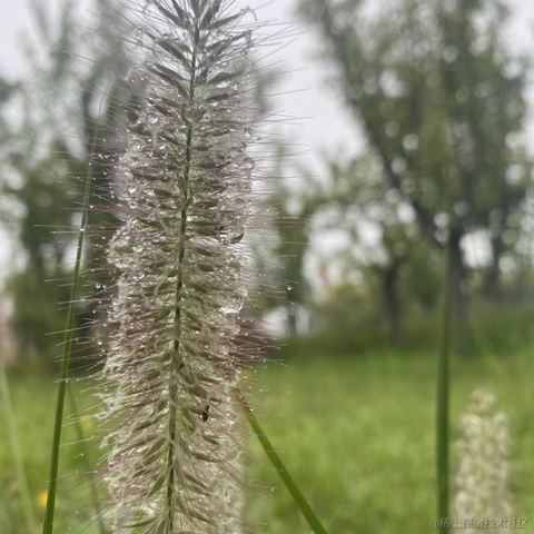 摄氏40度于2021-09-14 10:56发布的图片