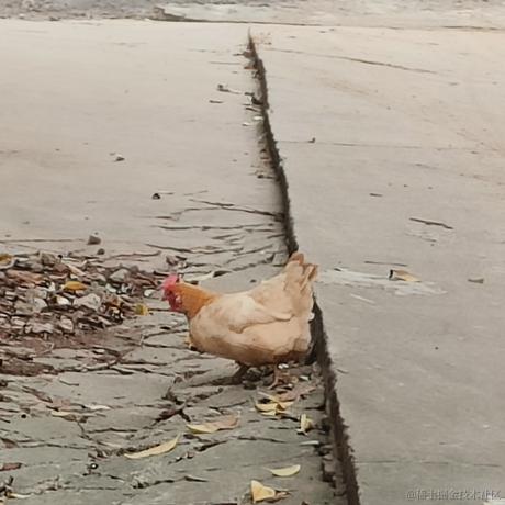 松蟹于2022-11-30 10:42发布的图片