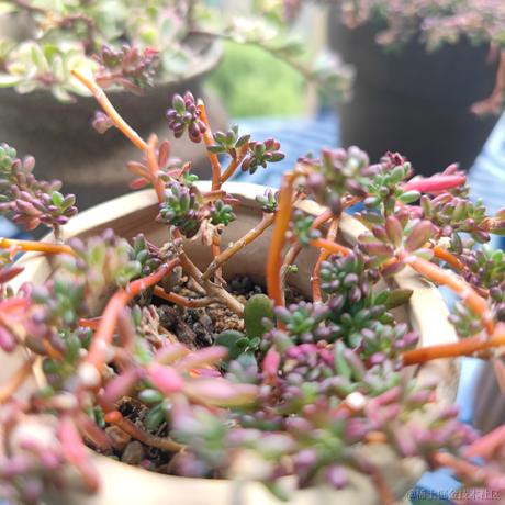 颠三倒四小贝拉于2022-11-23 16:35发布的图片