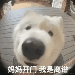 the_shuai于2022-10-12 15:04发布的图片