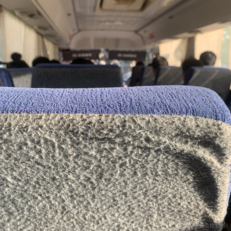 潜水鱼er于2021-06-08 18:05发布的图片