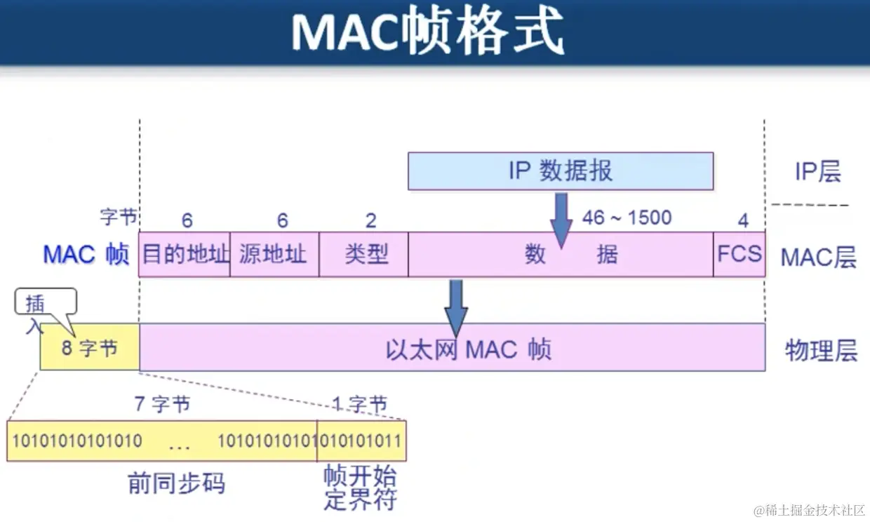 MAC帧格式