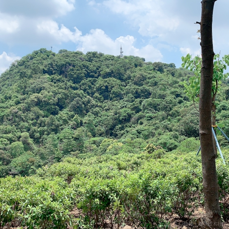 我是阿沐于2021-05-28 17:32发布的图片