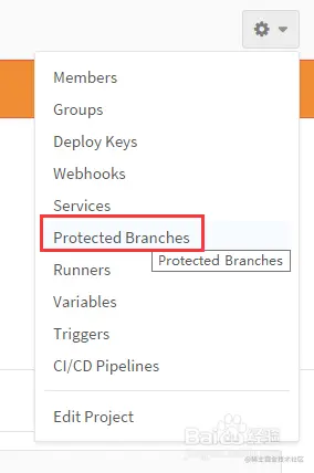 解决Gitlab的developer角色无法push代码