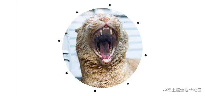 Circles of Love Motion Template