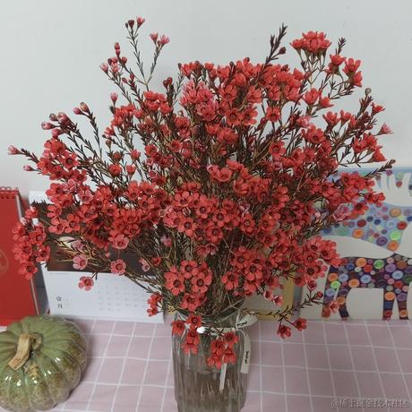 用户34851106278于2023-02-04 18:56发布的图片