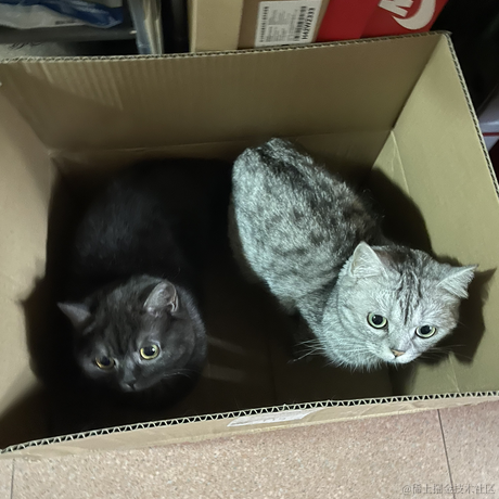 heronCCC于2023-05-20 18:52发布的图片