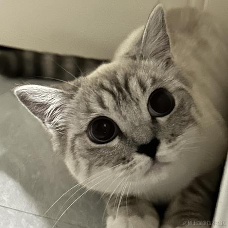 llight于2023-04-11 21:30发布的图片