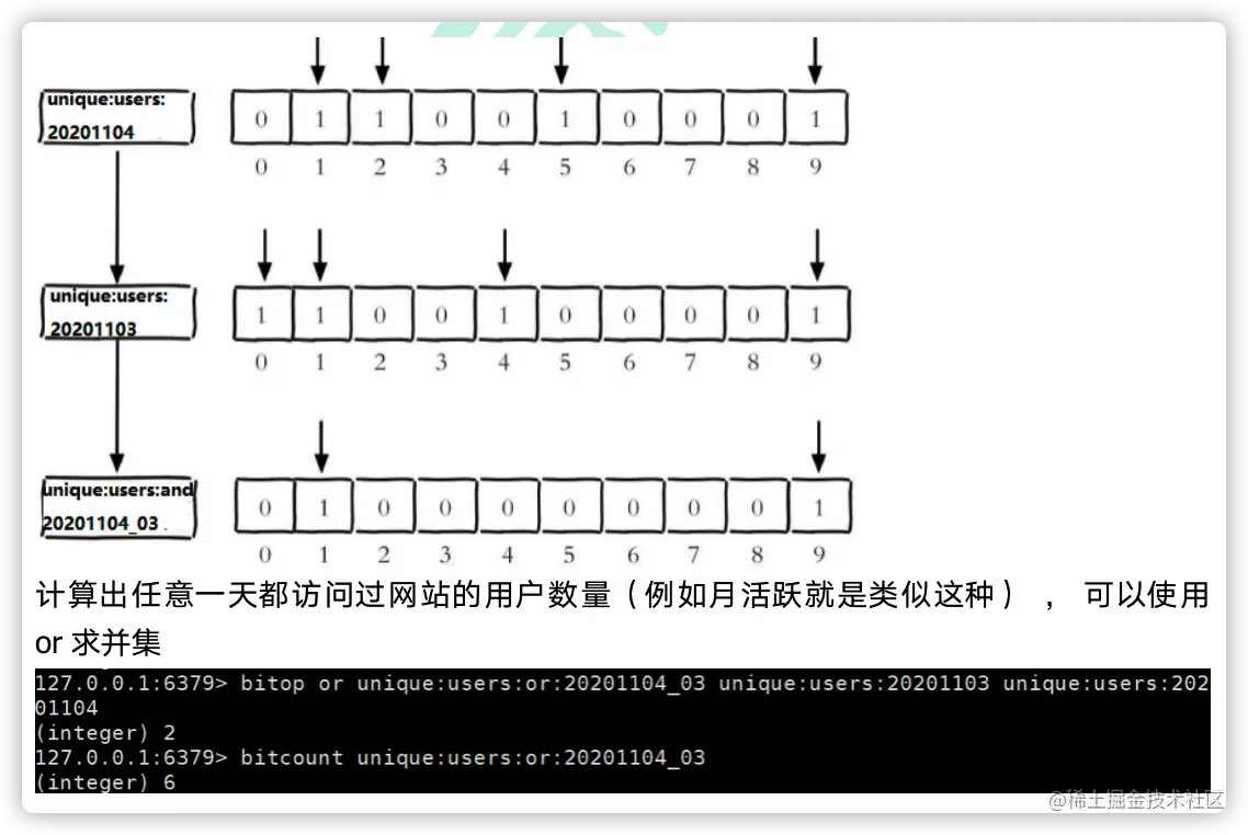 image-20220102115546582