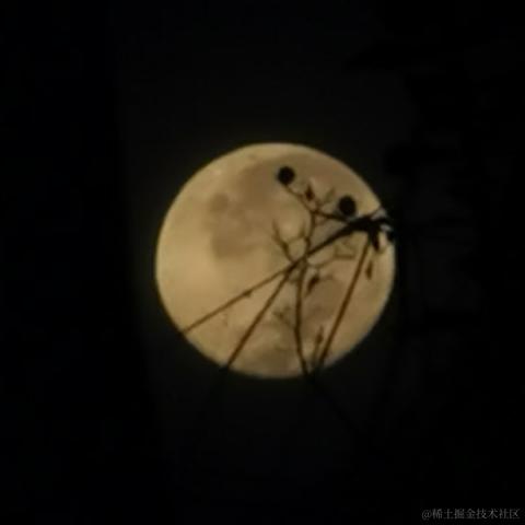 万少于2021-03-06 08:01发布的图片