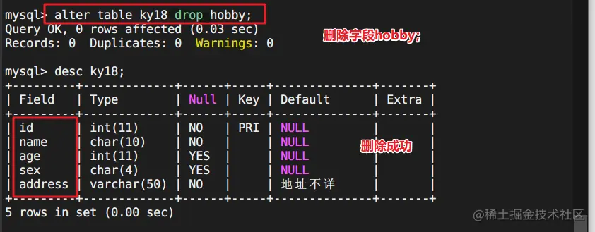 image-20220526153138559